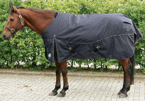 3220659 - Harry's Horse Outdoor rug 'Odin' 300g.