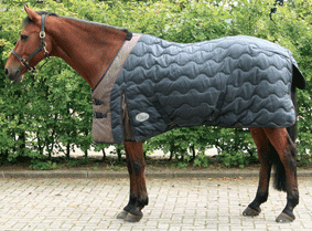 3220750 - Harry's Horse Stable rug 'Wave' 220gr.