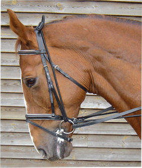 2840085 - Harry's Horse Halsverlenger.