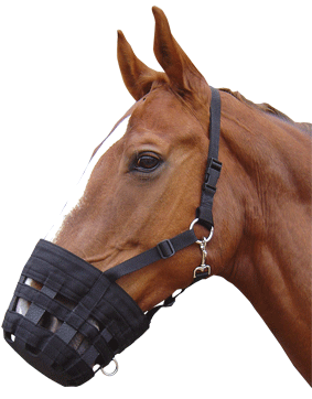 2851200 - Harry's Horse Muzzle Mask.