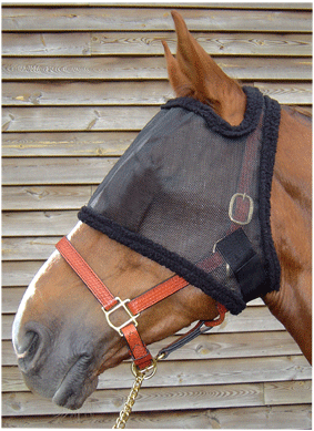 3220002 - Harry's Horse Vliegenmasker zonder oren.