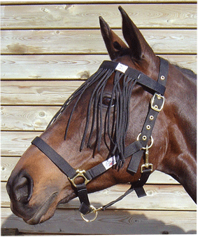 3220014 - Harry's Horse Vliegenfrontriem.