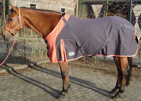 3220055 - Harry's Horse Rug 2-Tone.