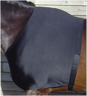 3228005 - Harry's Horse Lycra borstbeschermer.